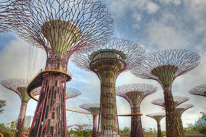 Gardens By the Bay Exp Event - Who should book this Gardens by the Bay visit?