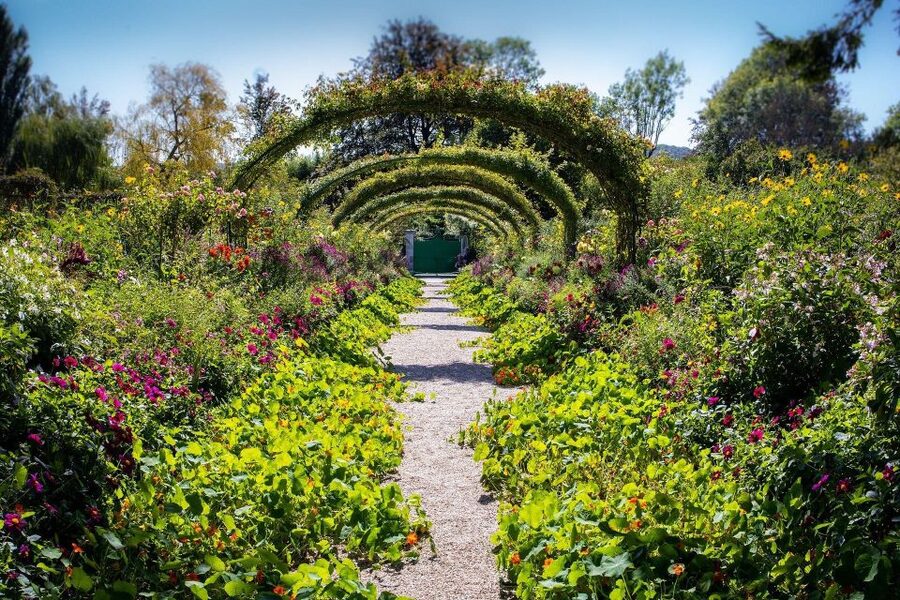 Giverny : Monet's house & Gardens Private tour from Paris - Guide languages and family appeal