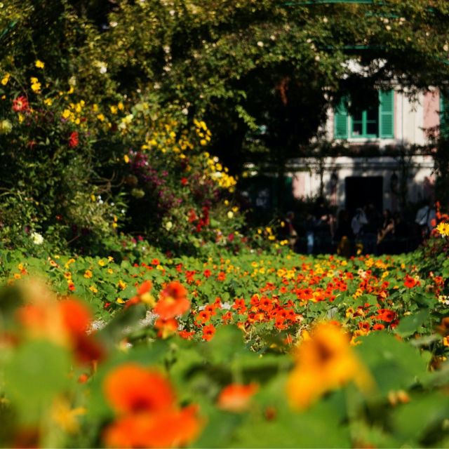 Giverny : Monet's house & Gardens Private tour from Paris - Who should book this Giverny tour?