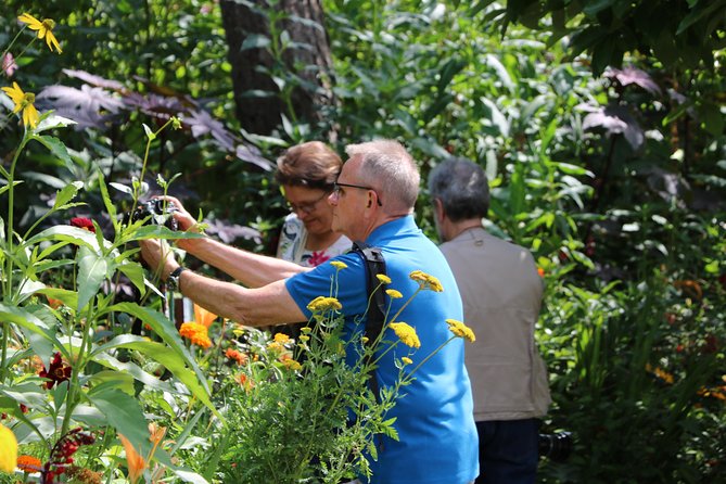 Giverny's House & Gardens plus Versailles Palace Day Trip with Lunch from Paris - Who should book this Giverny and Versailles trip?