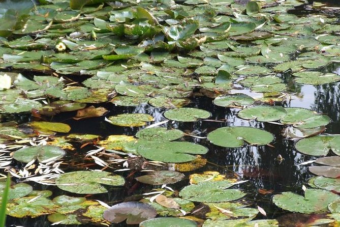 Giverny Small-Group Minivan with Hotel Pickup or Meeting Point - What to do after the main visit