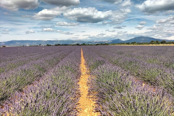 Gorges du Verdon : Lavenders, Canyon Boat Picnic & Villages - Why the Verdon Gorge boat ride is the heart of the day