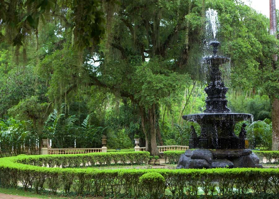 Green Rio: Guided Tour of Botanical Garden and Lage Park - Key points to know before booking