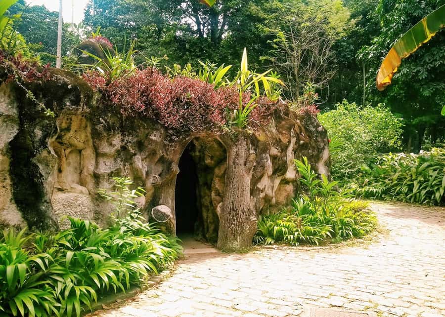 Green Rio: Guided Tour of Botanical Garden and Lage Park - Why these two parks work so well together