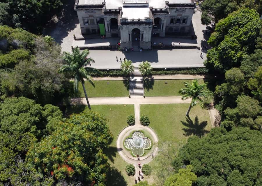 Green Rio: Guided Tour of Botanical Garden and Lage Park - How much value do you get for $107?