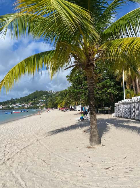 Grenada: Spice and Herb Garden Tour with Beach Visit - Key points to know before you book