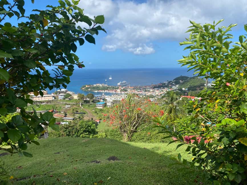 Grenada: Spice and Herb Garden Tour with Beach Visit - Why this three-hour outing works