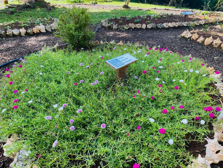 Grenada: Spice and Herb Garden Tour with Beach Visit - Shopping for a taste of Grenada