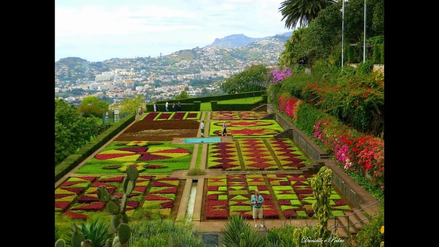 Guided Tuk-Tuk Tour to Botanical Garden (From Funchal) - Key points to know before booking