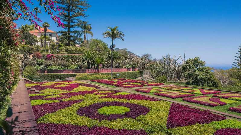 Guided Tuk-Tuk Tour to Botanical Garden (From Funchal) - A steep, scenic ride above Funchal