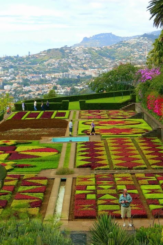 Guided Tuk-Tuk Tour to Botanical Garden (From Funchal) - What the one-hour schedule really means