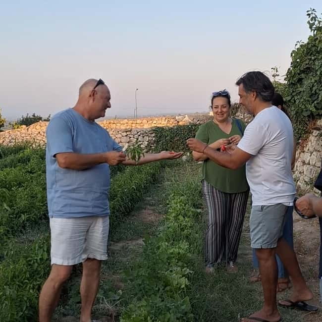 Guided visit to the Medieval Gardens of Ostuni - Key points to know before you go