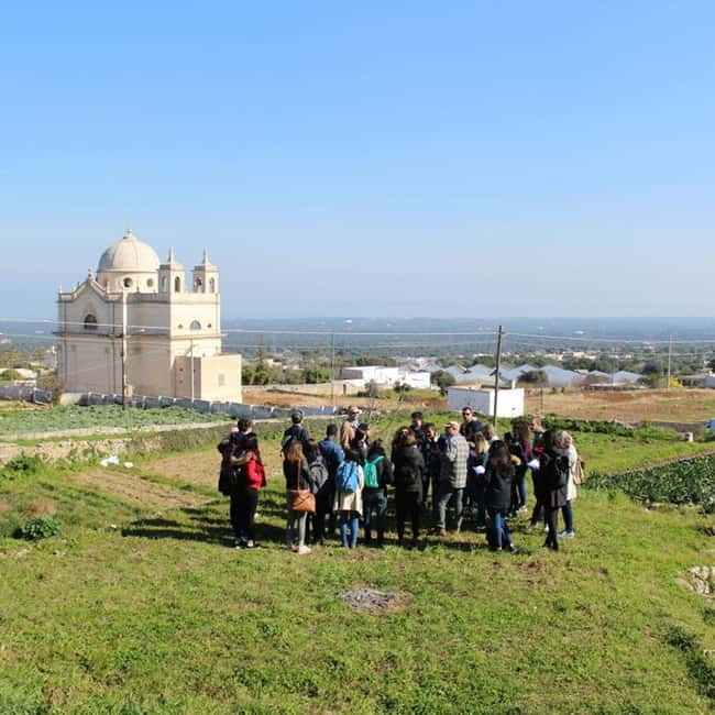 Guided visit to the Medieval Gardens of Ostuni - Beneath Ostuni, a working garden with a past