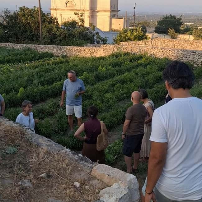 Guided visit to the Medieval Gardens of Ostuni - Following the canals, wells, and dry stone terraces