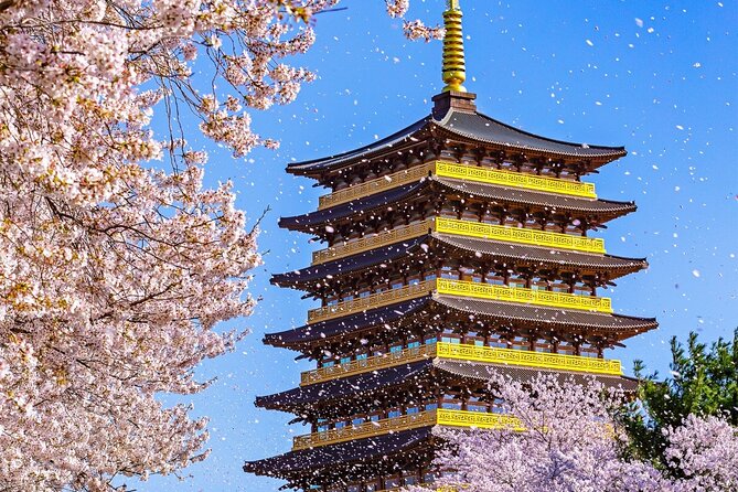 Gyeongju Cherry Blossom Day Tour from Busan (2~3 spring spots) - Key points at a glance