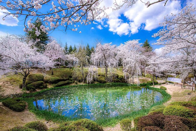 Gyeongju Cherry Blossom Day Tour from Busan (2~3 spring spots) - Why Gyeongju makes a better blossom day than a simple flower park