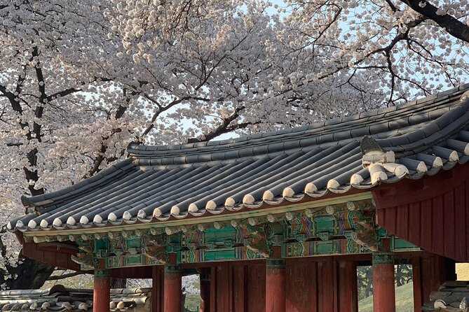 Gyeongju Cherry Blossom Day Tour from Busan (2~3 spring spots) - Who will enjoy this tour most?
