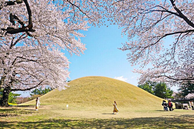 Gyeongju Cherry Blossom Day Tour from Busan (2~3 spring spots) - Choosing the day’s first blossom stop