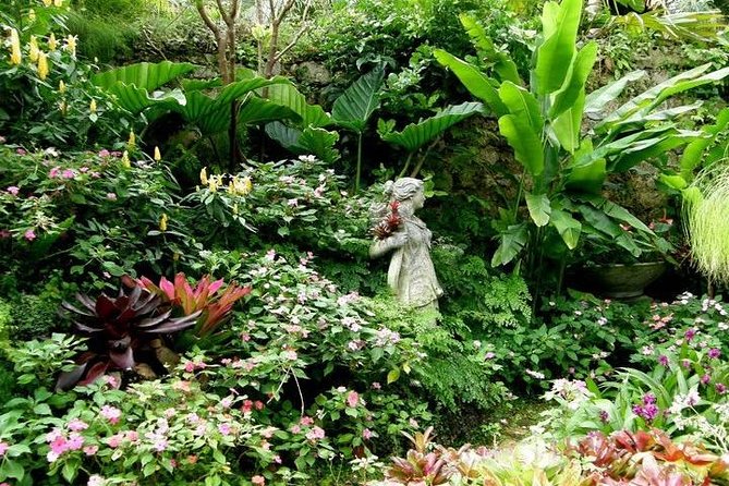 Half-Day Barbados Tour Harrisons Cave Hunte's Garden and Bathsheba - Why this half-day route works
