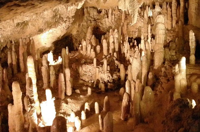 Half-Day Barbados Tour Harrisons Cave Hunte's Garden and Bathsheba - Who should book this excursion
