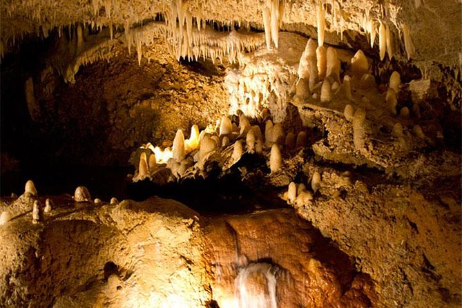 Half-Day Barbados Tour Harrisons Cave Hunte's Garden and Bathsheba - Hunte’s Garden, a slower change of pace