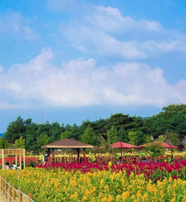 Hantan Canyon & Goseokjeong Flower Garden & Pink Muhly Park - Hantan Canyon and the Geometry of Volcanic Rock