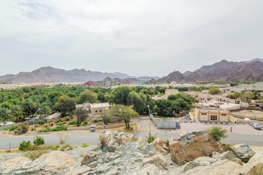 Hatta Safari & Honey Bee Garden Visit - From Dubai’s city streets to the Hajar Mountains