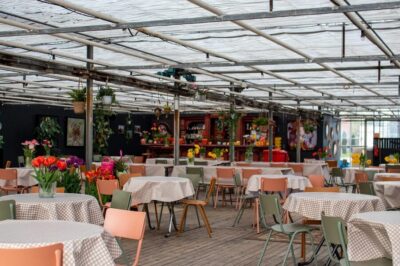 Hillegom: Tulip Barn Entry Ticket