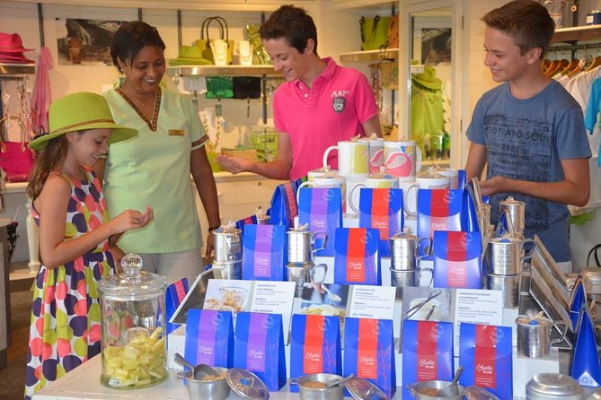 Historical Guided Day Tour : City - Sugar World - Botanical Garden - The pace, group size, and practical tradeoffs