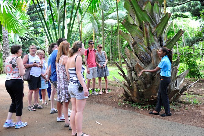 Historical Guided Day Tour : City - Sugar World - Botanical Garden - Pamplemousses Botanical Garden: start with Mauritius’s plant life
