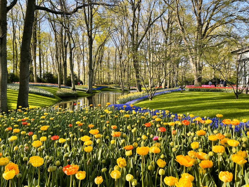 Holland: Tulips & Windmills – Private Tour by Car or Van - Key details at a glance