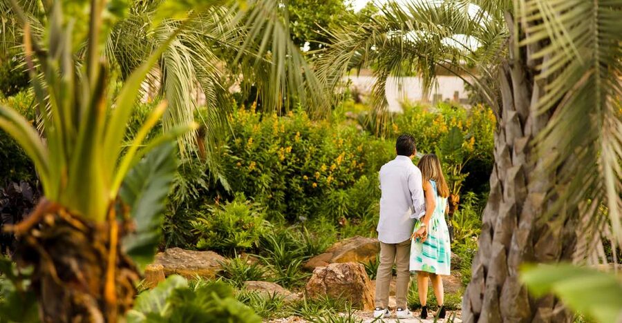 Houston: Houston Botanic Garden Entry Ticket - Starting with the Global Collection Garden
