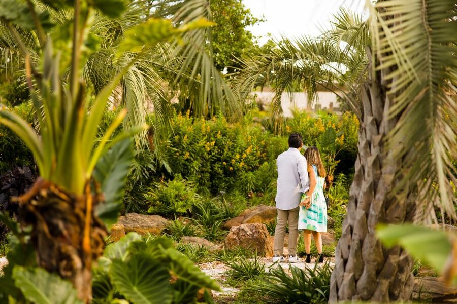 Houston: Houston Botanic Garden Entry Ticket - The Pine Grove and the gardens scents
