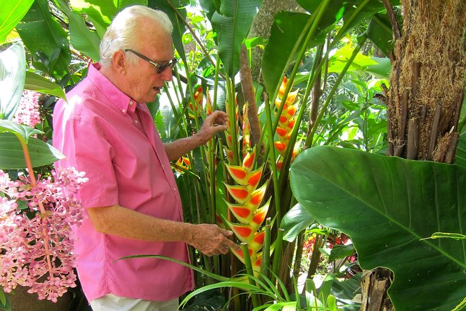 Hunte's Gardens - Why Hunte’s Gardens feels different from a standard botanical garden