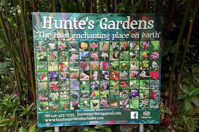 Hunte's Gardens - What makes the visit worth the price
