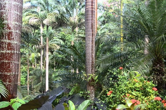 Hunte's Gardens - The best way to use your three hours