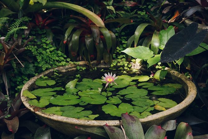 Hunte's Gardens - Who will enjoy Hunte’s Gardens most