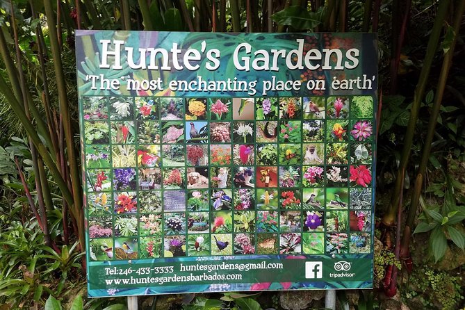 Hunte's Gardens - Practical details that affect your visit