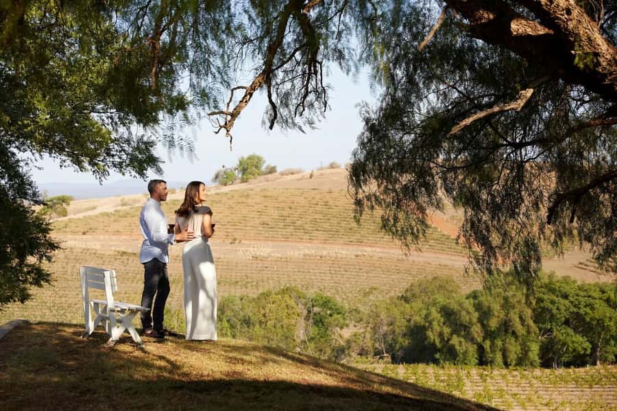 Hunter Valley: Wine Tour with 3 Tastings and Garden Lunch - Should you book it?