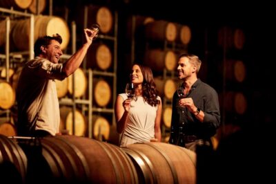 Hunter Valley: Wine Tour with 3 Tastings and Garden Lunch
