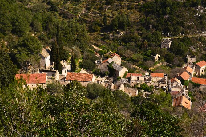 Hvar Lavender Tour - Who should book this tour?