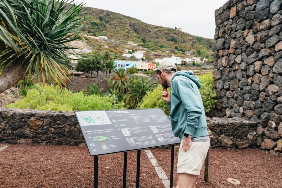 Icod de los Vinos: Dragon Tree & Botanical Garden Ticket - Should You Book Parque del Drago?