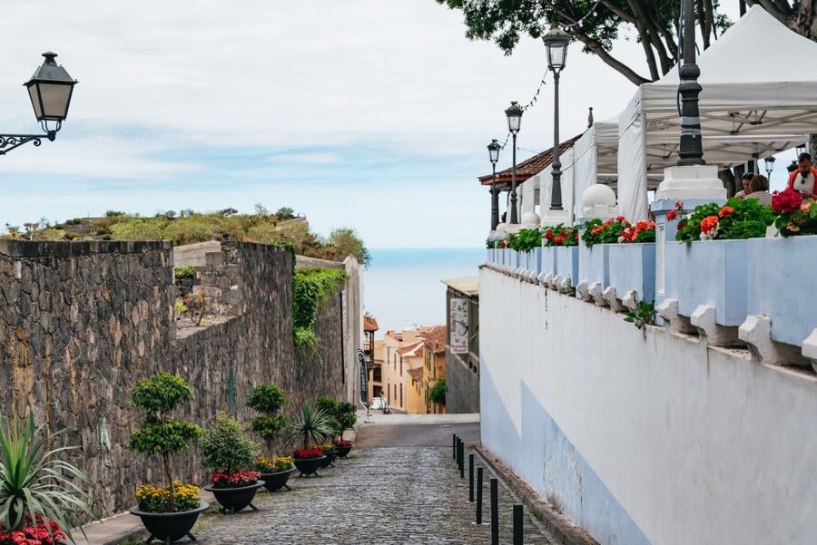 Icod de los Vinos: Dragon Tree & Botanical Garden Ticket - How Long Should You Allow?
