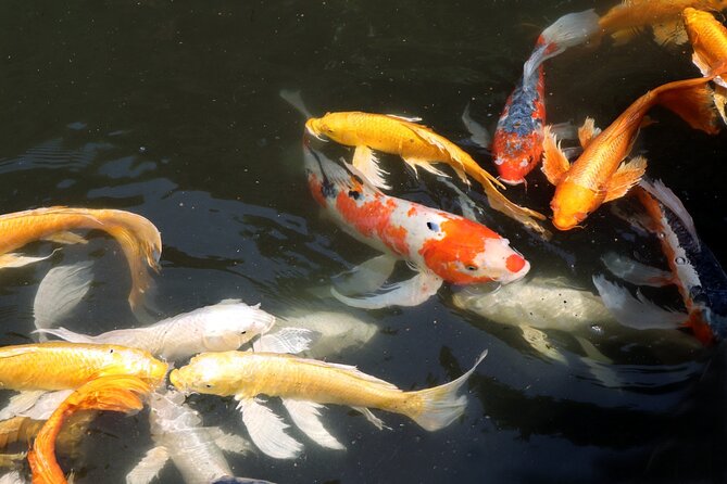 Imperial Palace East Garden and Edo Castle Walking Tour in Tokyo - Walking conditions and timing