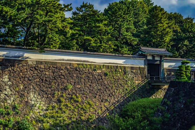 Imperial Palace East Garden and Edo Castle Walking Tour in Tokyo - Practical tips for a better visit