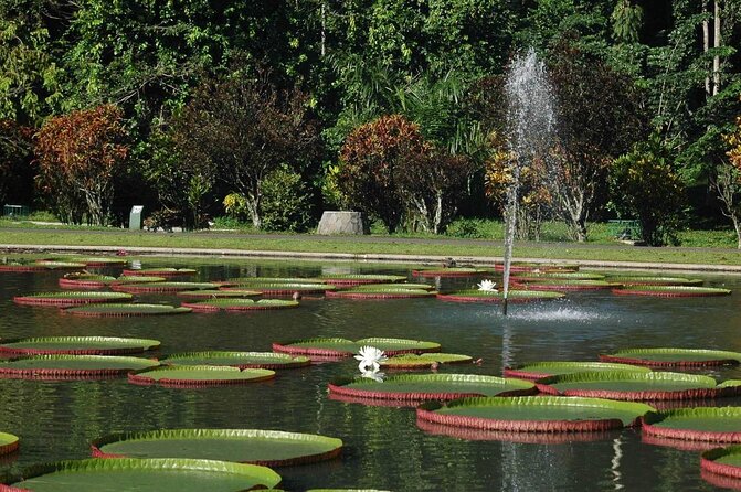 Jakarta Bogor Botanical Garden, Waterfall and Rice terrace, Lunch - Key points to know before you book