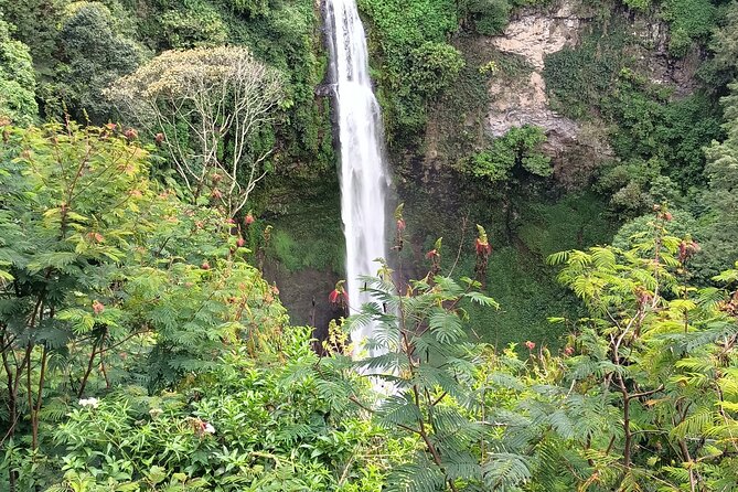 Jakarta Bogor Botanical Garden, Waterfall and Rice terrace, Lunch - First stop: Bogor Botanical Garden and its 1817 roots