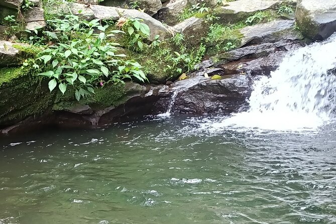 Jakarta Bogor Botanical Garden, Waterfall and Rice terrace, Lunch - Nangka Waterfall and the roughest walk of the day