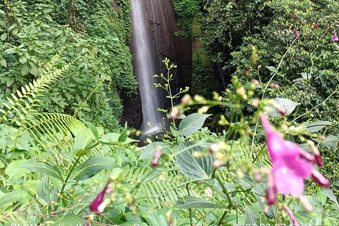 Jakarta Bogor Botanical Garden, Waterfall and Rice terrace, Lunch - Traffic, cruise ports, and the importance of an early start