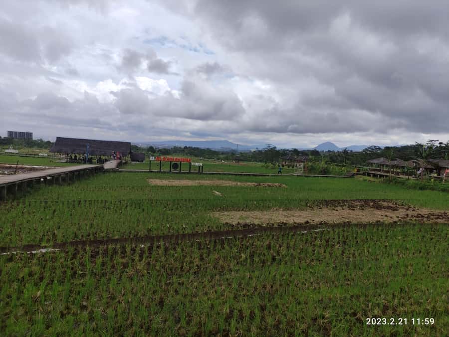 Jakarta : Botanical Garden, Waterfalls, and Rice Fields Tour - From Jakarta traffic to cool Bogor air